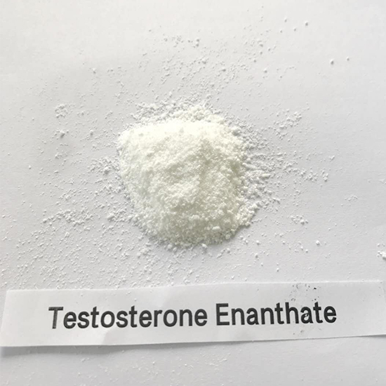 Buy Steroid Powder Testosterone enanthate