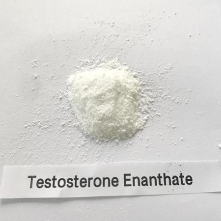 Buy Steroid Powder Testosterone enanthate