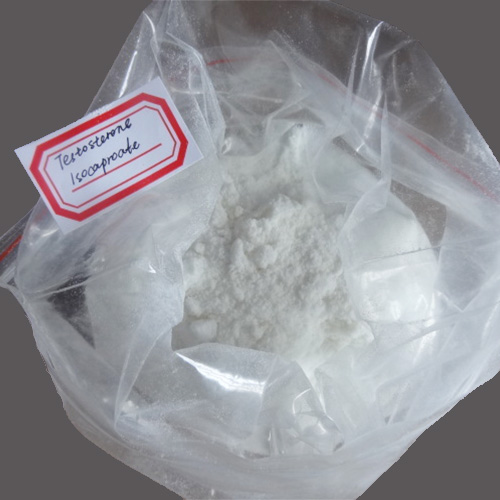 Testosterone Isocaproate